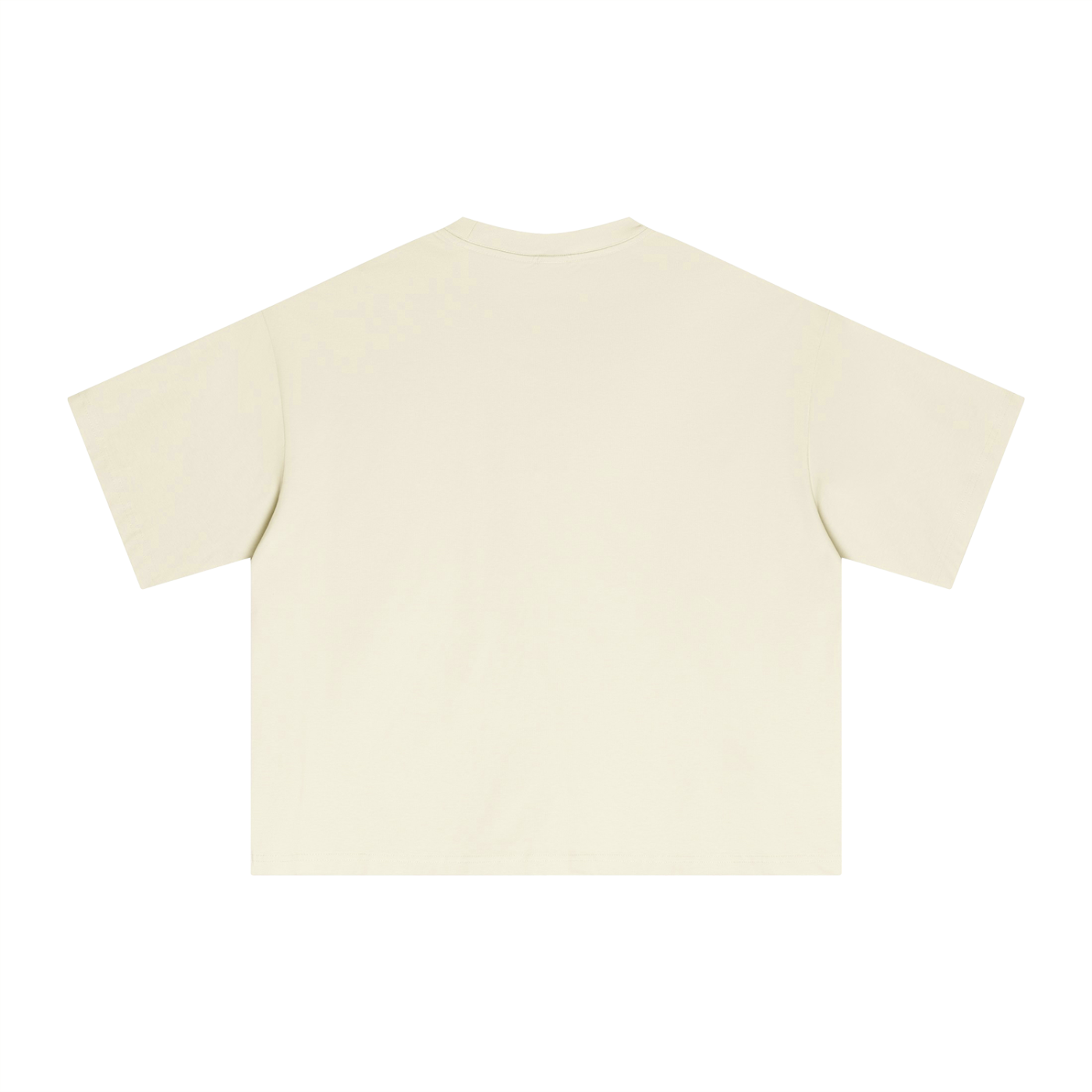 TRAP24 X TNP Sorona Boxy T-Shirt
