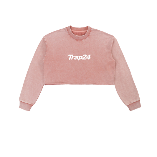 Snow Washed Raw Edge Cropped Sweatshirt