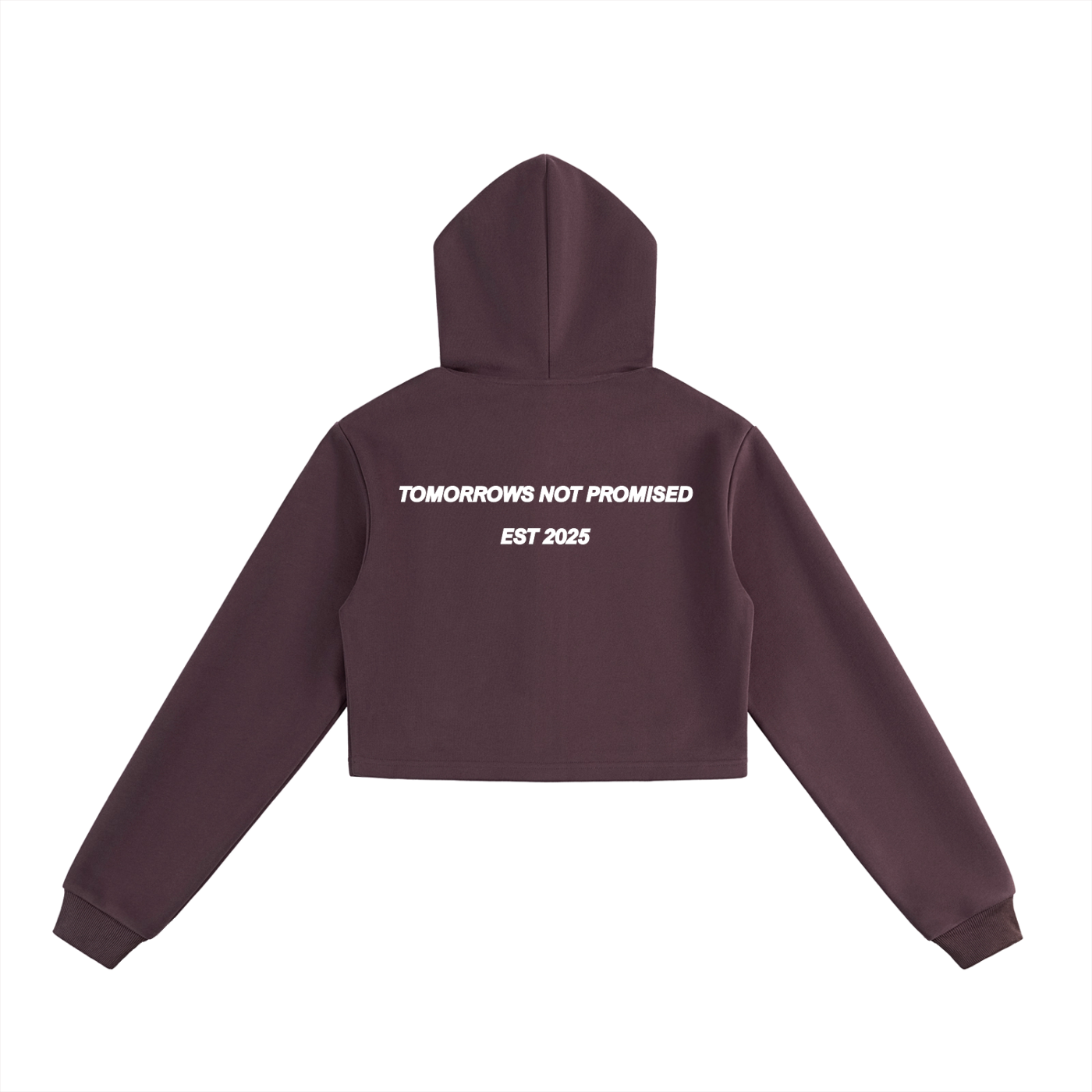 Essential Cropped Zip-Up Hoodie