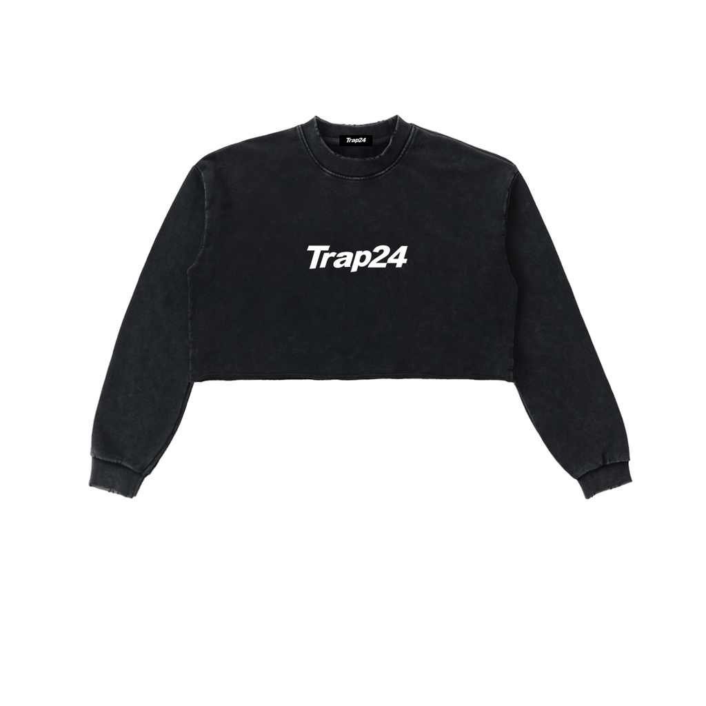Snow Washed Raw Edge Cropped Sweatshirt