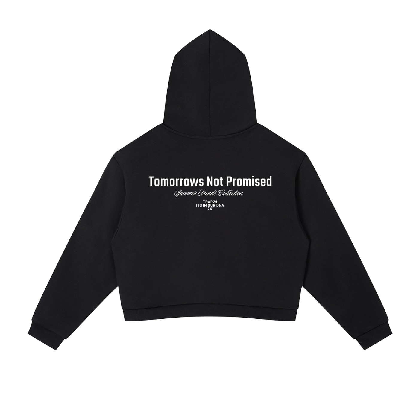 SUMMER TNP Stripe Cropped Hoodie