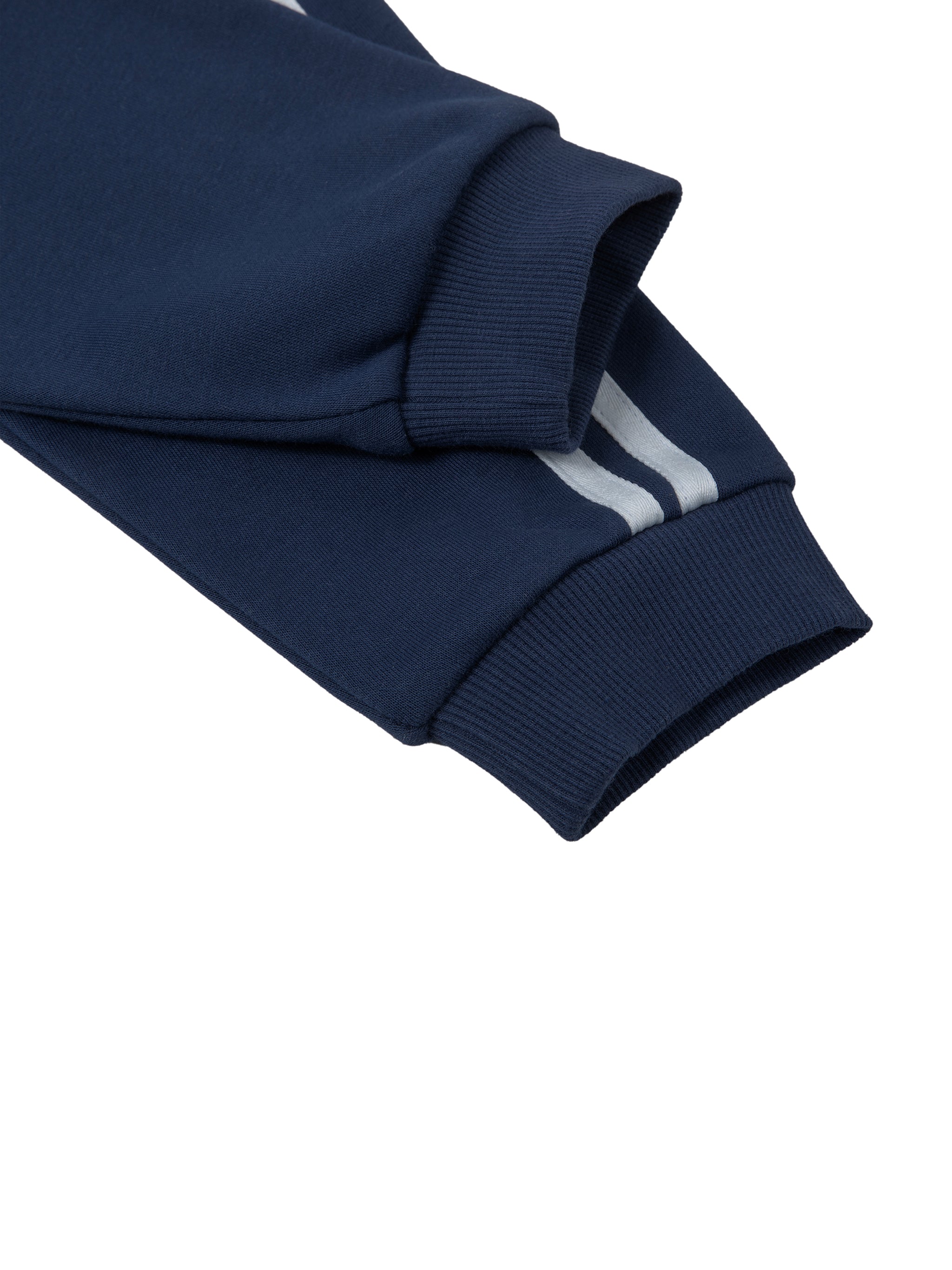SUMMER TNP Stripe Cropped Hoodie